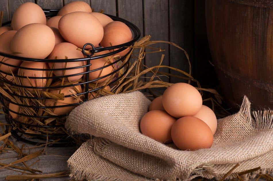 Neuf raisons de manger des œufs