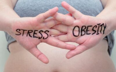 Dossier 10 : L’impact du stress sur la prise de poids