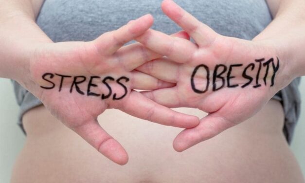 Dossier 10 : L’impact du stress sur la prise de poids