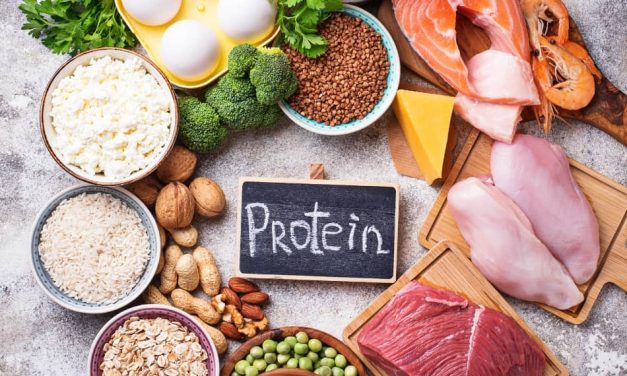 Manger beaucoup des protéines : est-ce conseillé ?